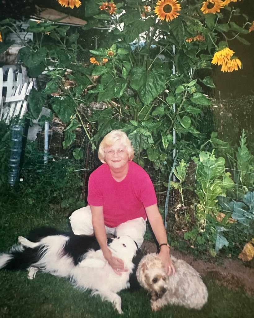 Donna L Somers Profile Photo
