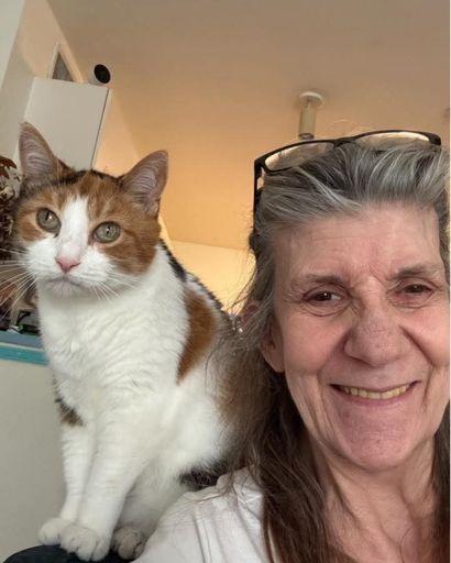 Karen S. Lamb's obituary image