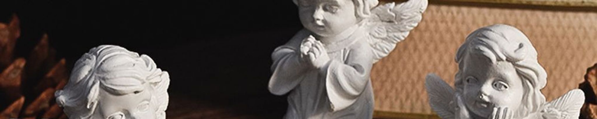 Cover for Rosemary Mynarcik's Obituary