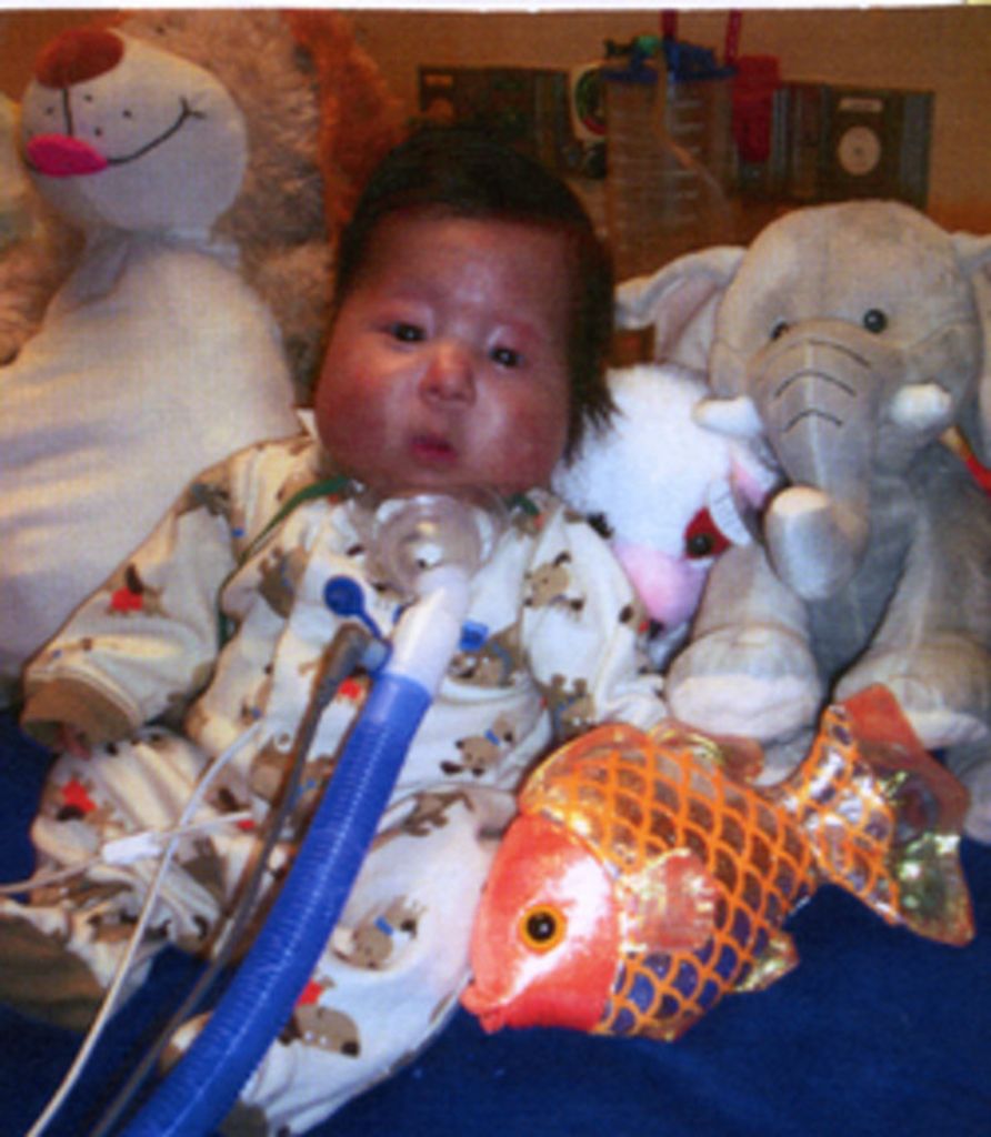 Zander Raine Patterson