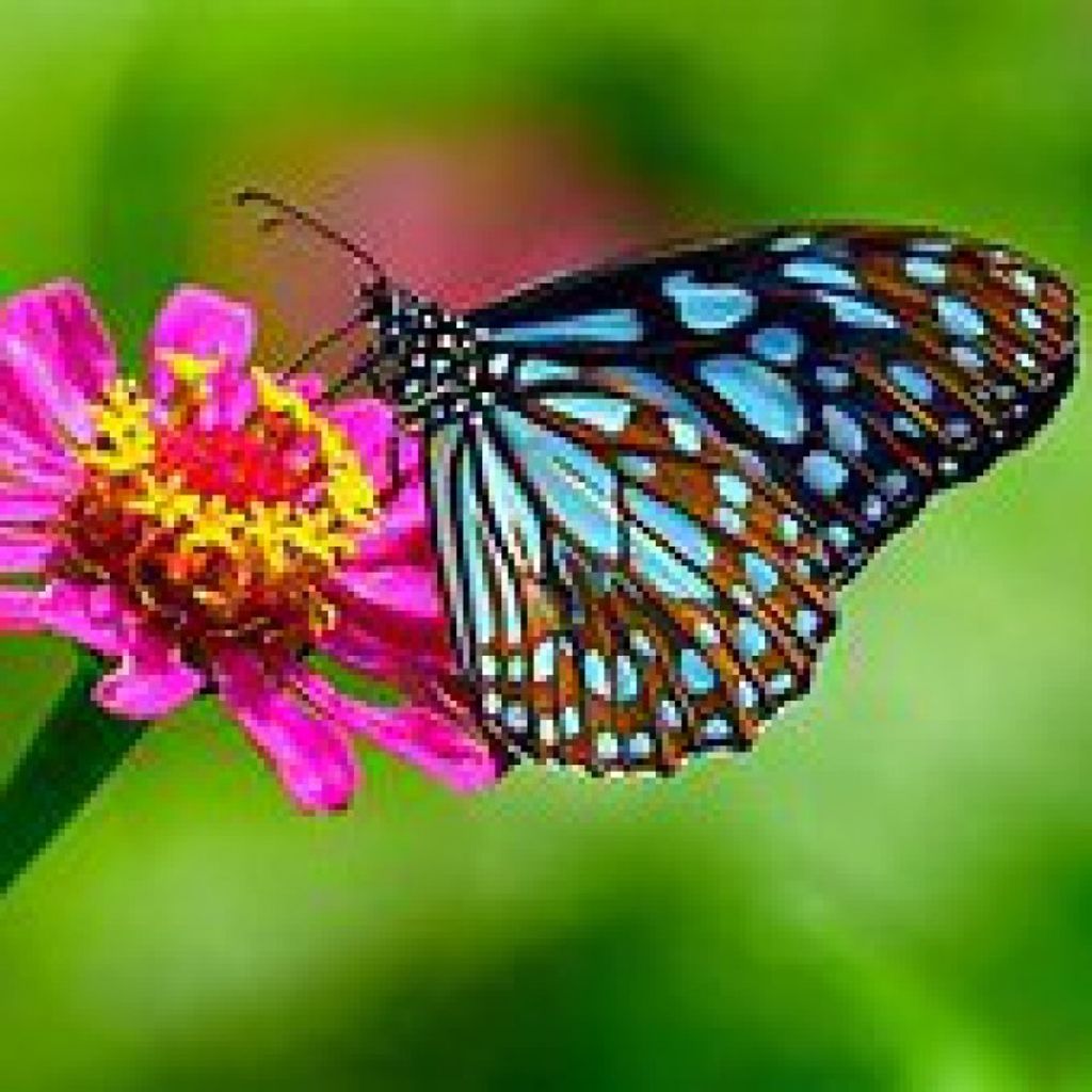 Cody Marie Singleton Profile Photo