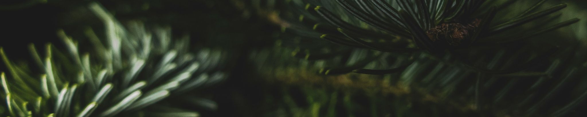 Cover for Charles "Chuck" Ogle's Obituary