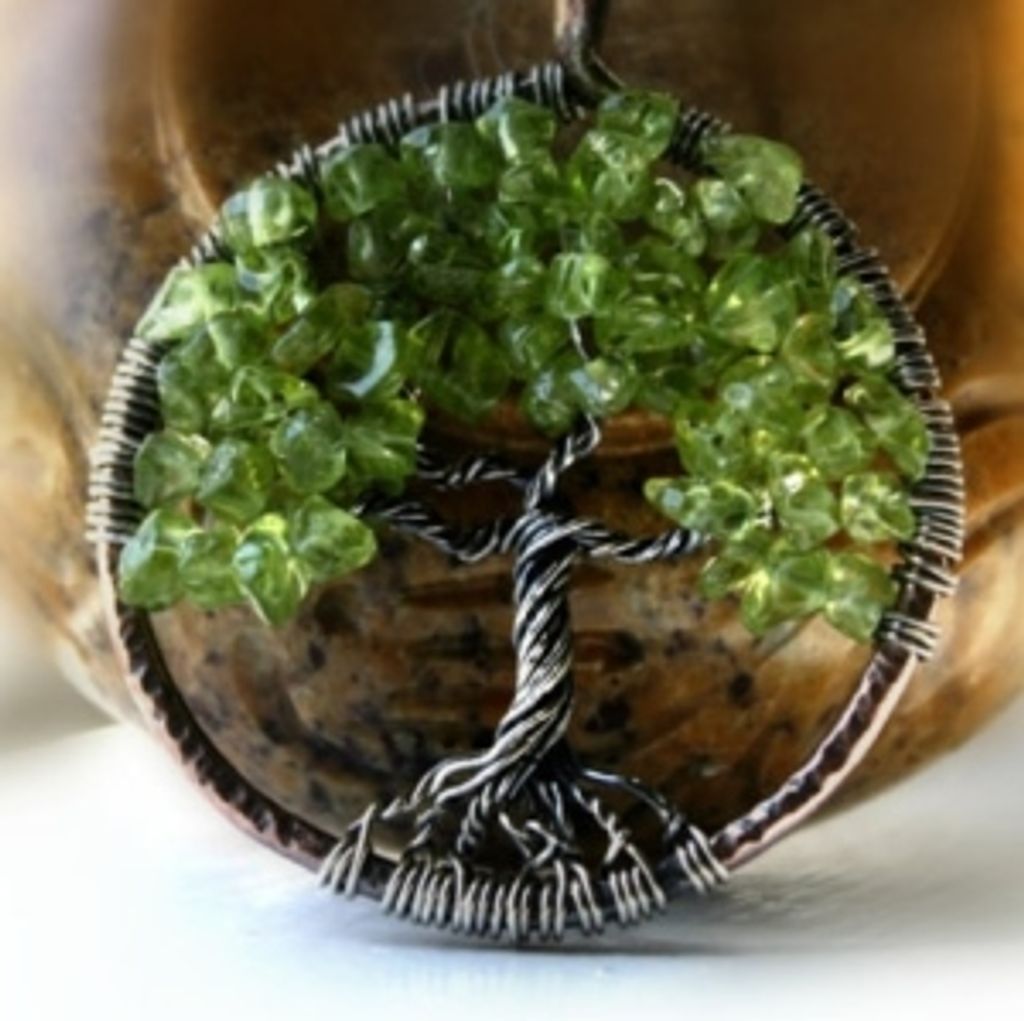 Steven Allen Solomon Profile Photo