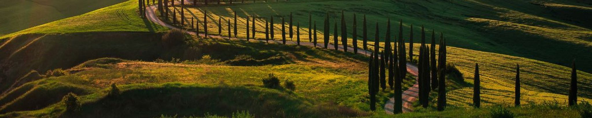 Cover for Joseph Chuan Yi Chi's Obituary