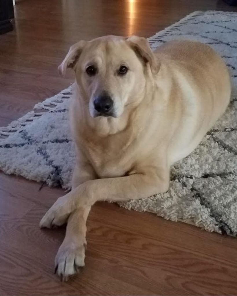 Sadie House Profile Photo