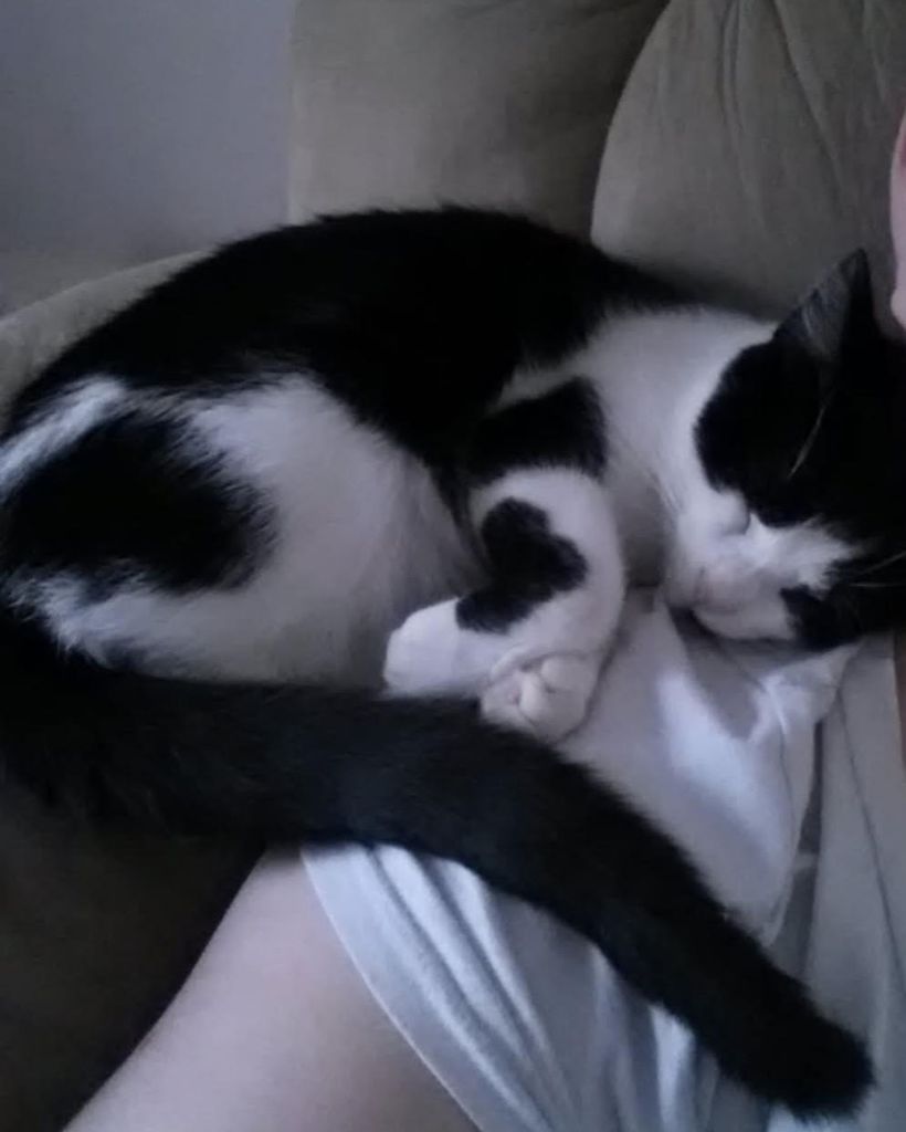 Smores' Profile Photo