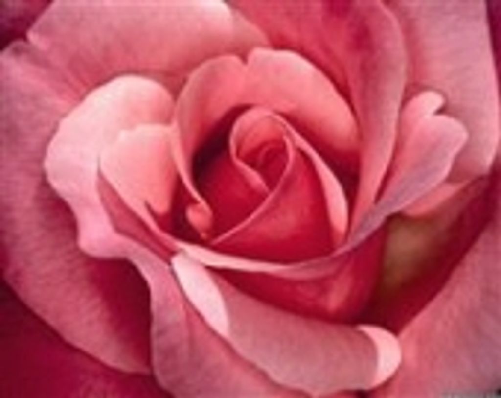 Louise Slocum Griggs