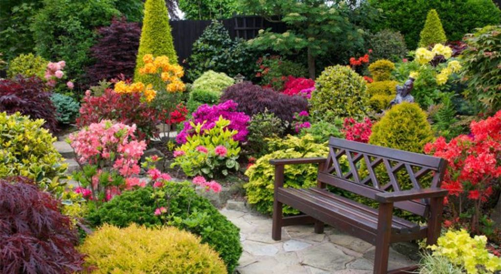 Jerome Thomas Profile Photo