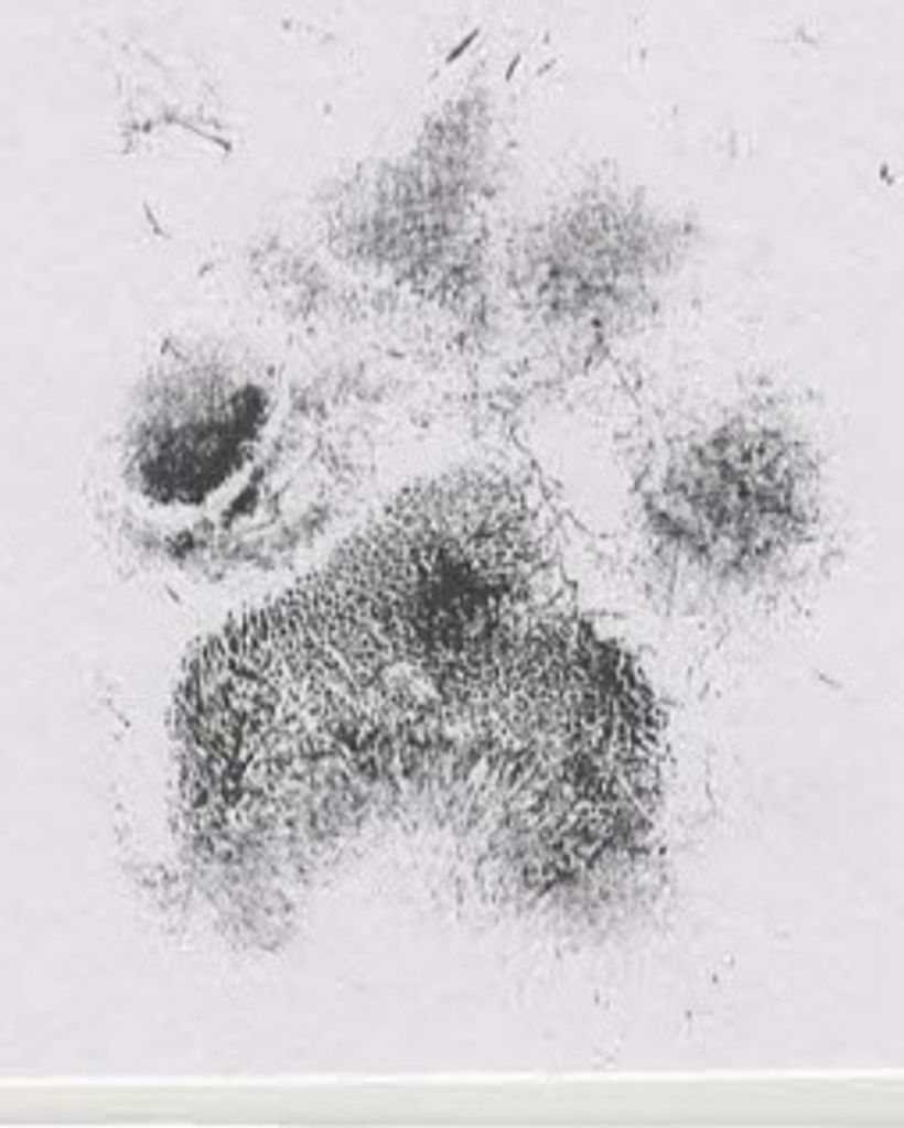 Pete Cooper Profile Photo