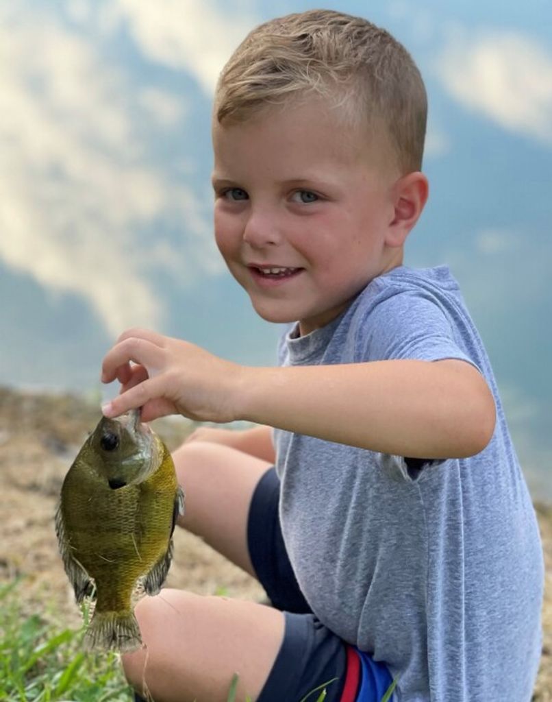 Owen P. Davis Profile Photo