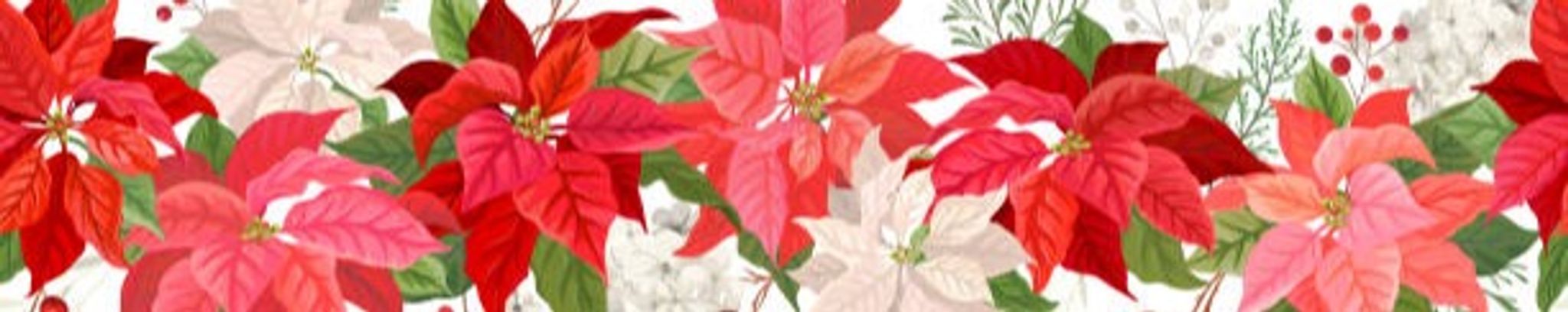 Cover for Cathy Joann Jansen's Obituary