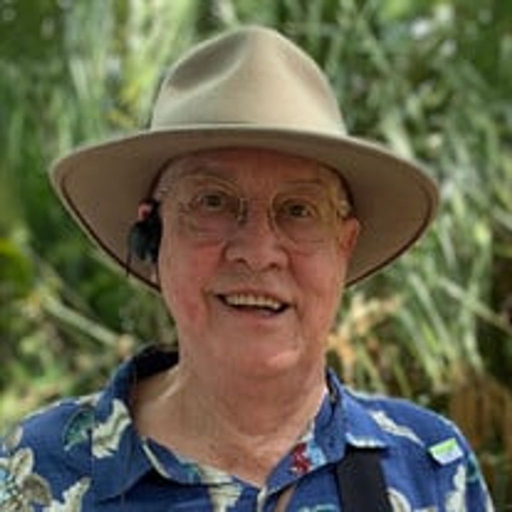 Jack Collins Profile Photo