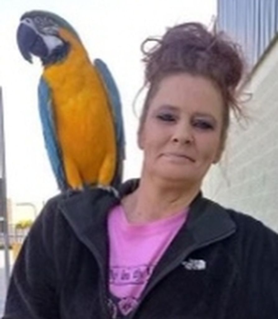 Tina Johnson Profile Photo