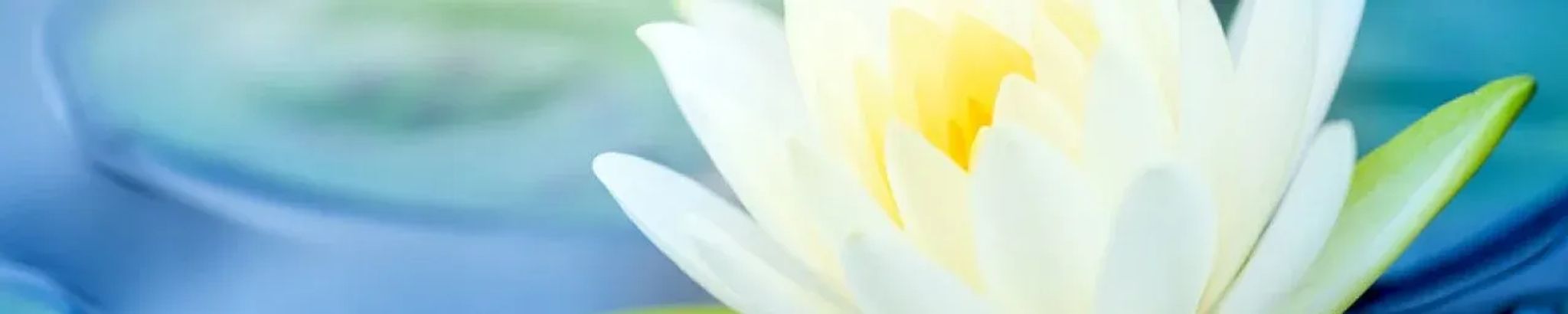 Cover photo for Mary Luu's Obituary