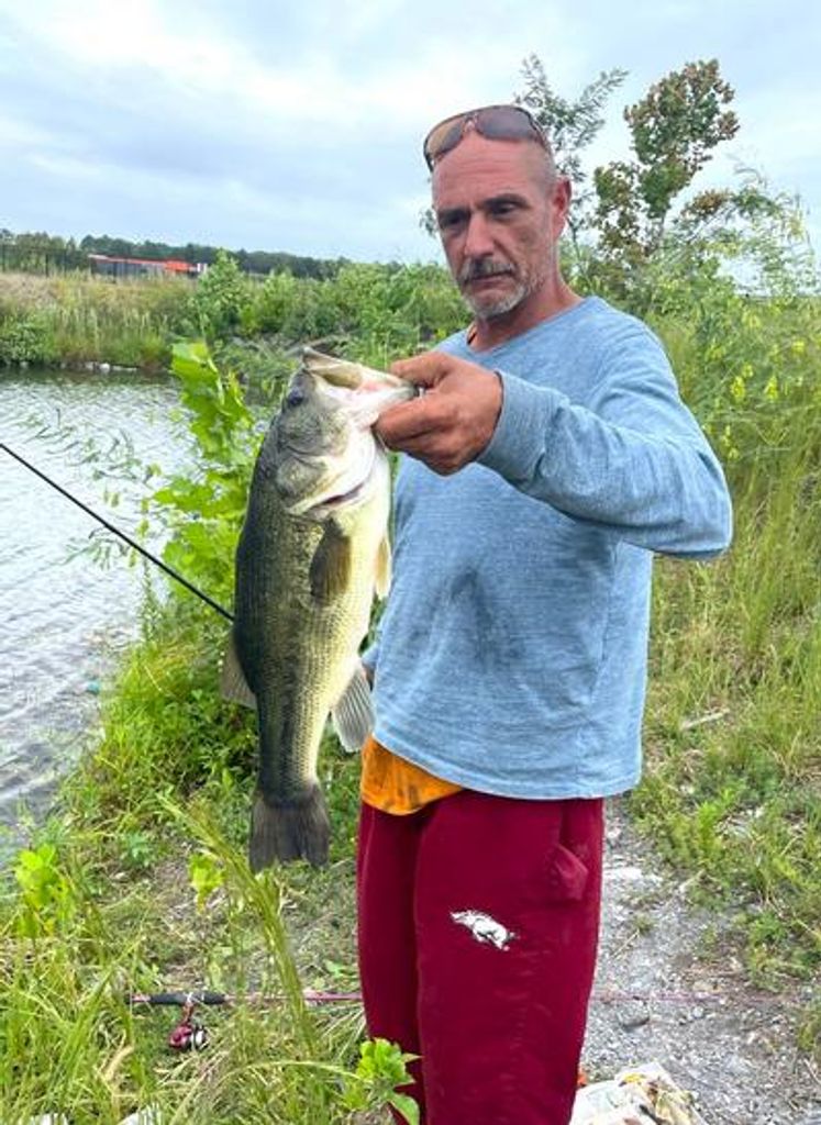 Tony Joe Workman Profile Photo