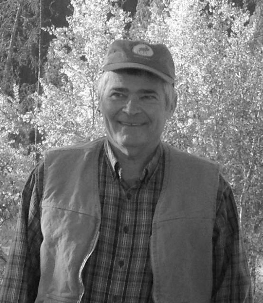 Harry Mcallister Jr.