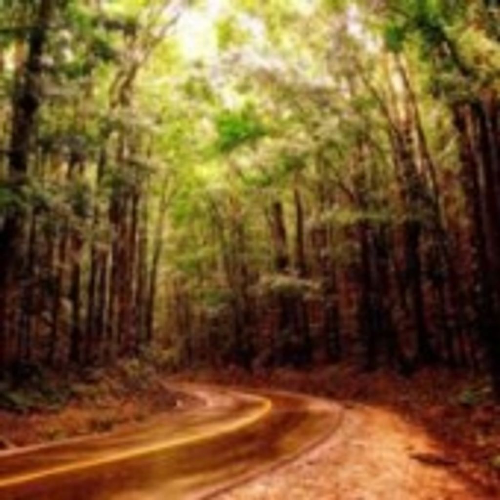 Clough Stevens Campbell