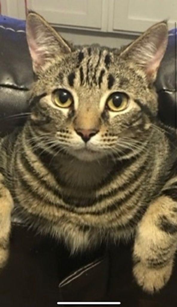 Tink "Fatso" Ford Profile Photo