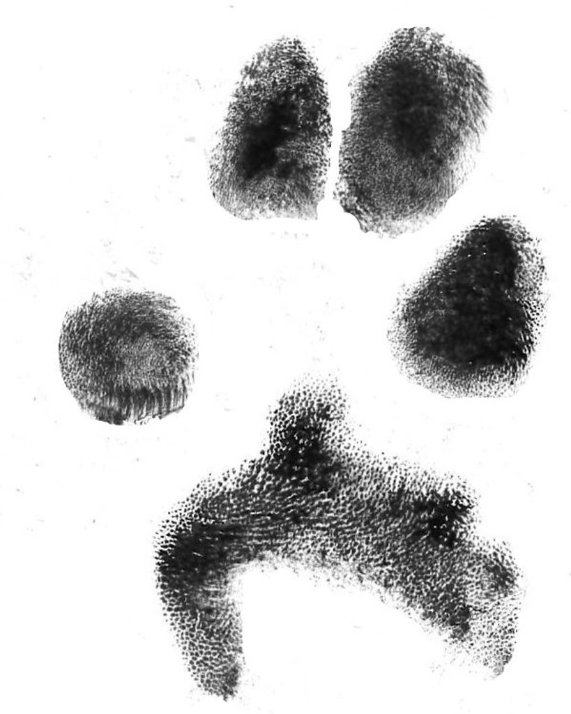 Nina Cook Profile Photo