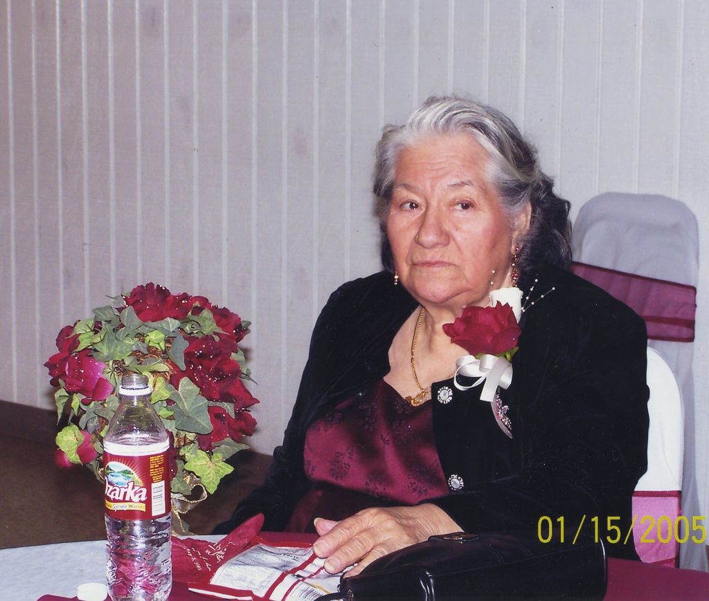 Petra C. Godina