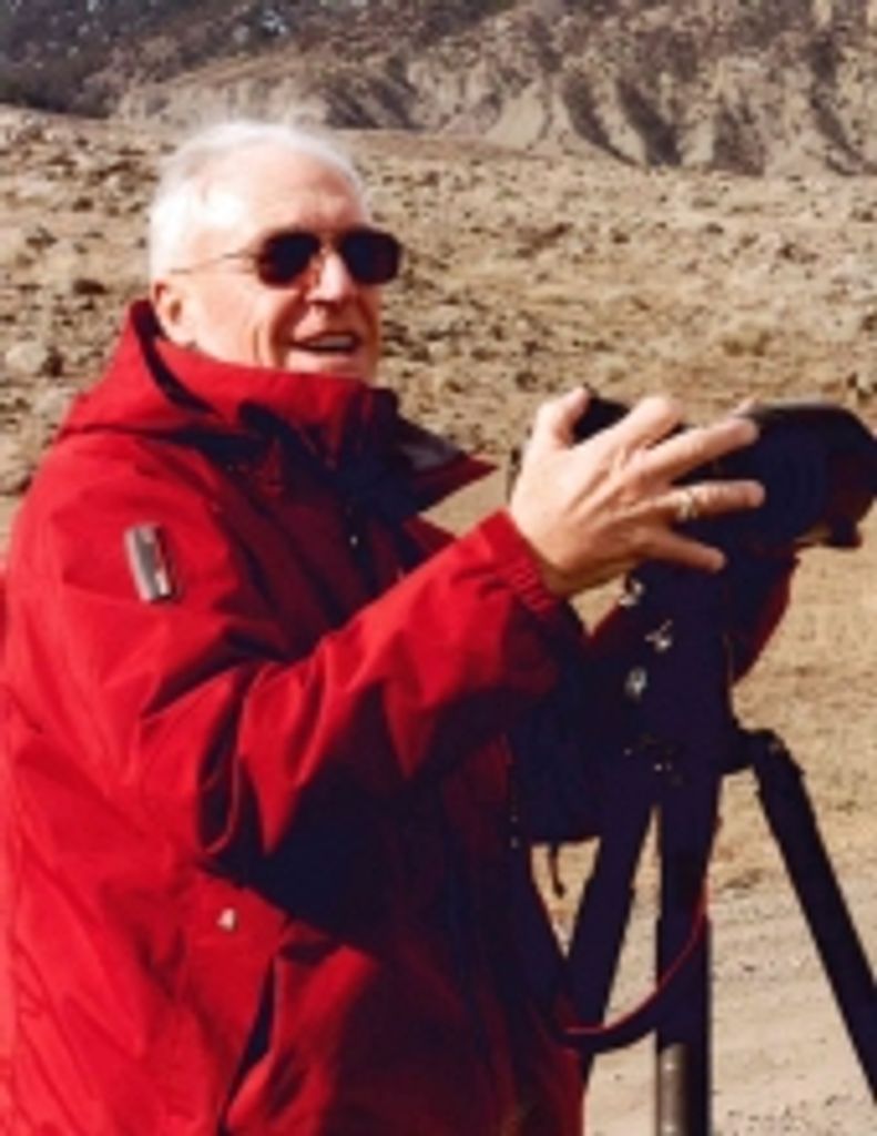 David H. Steinberg Profile Photo