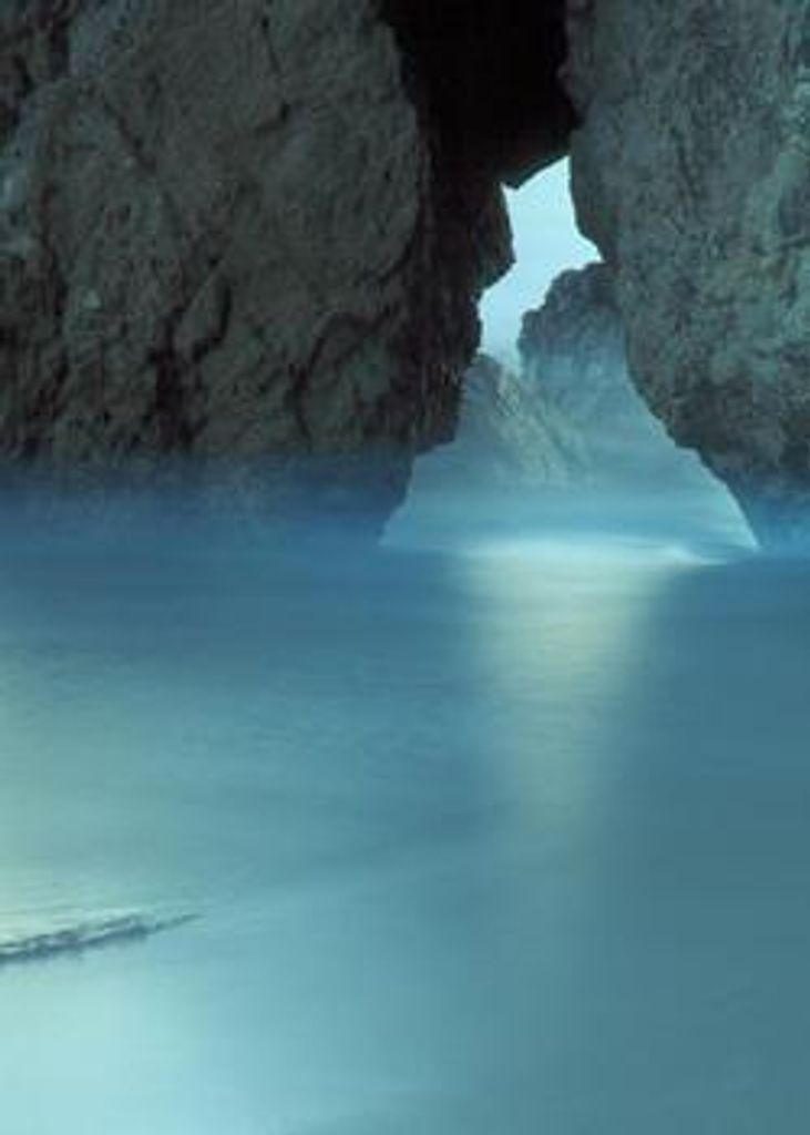 David Edward Brinks Profile Photo