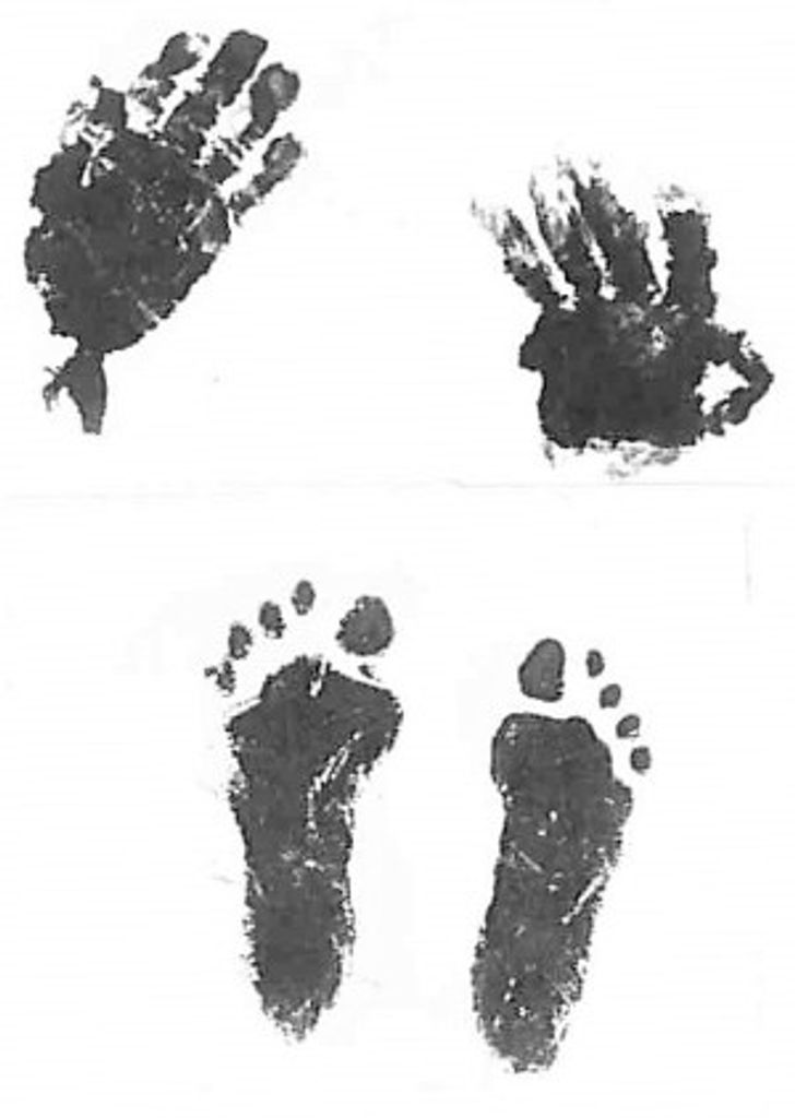 Jaxson Beckett Hoffman