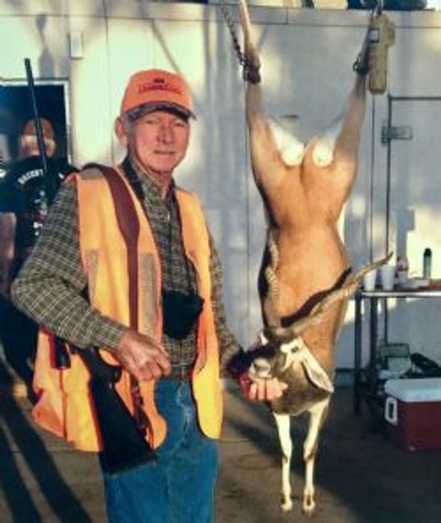Terry Bounds