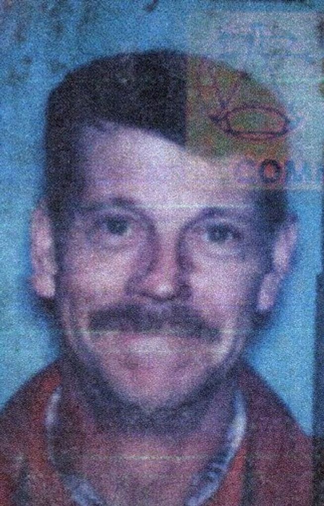 David Wolfgang Profile Photo