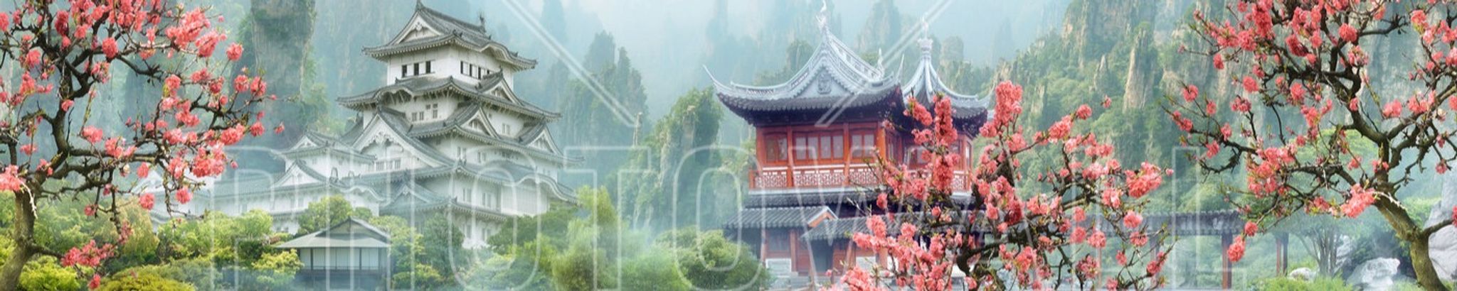 Cover for Tit Phoeung 樊 梅 蝶's Obituary