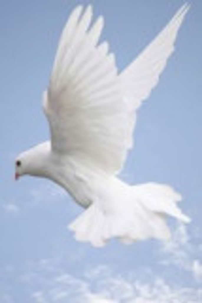 Ethridge  Dajuan Farris Profile Photo