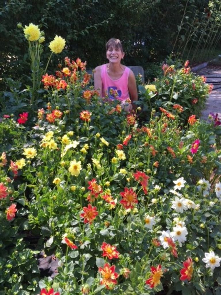 Victoria A. Seavey Profile Photo