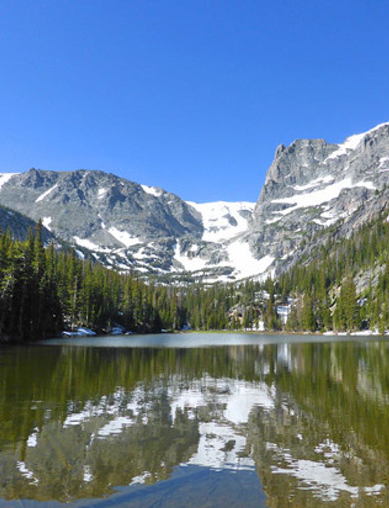 Thomas Edward Gray Jr.