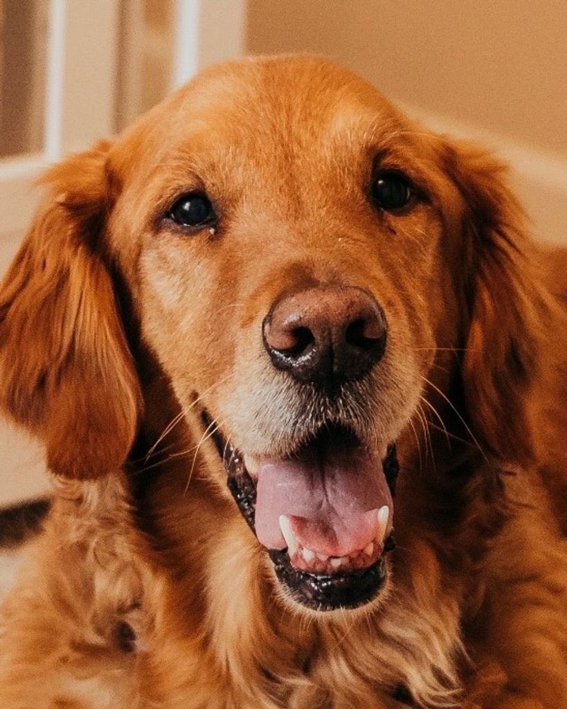 Ripley Langdon Profile Photo