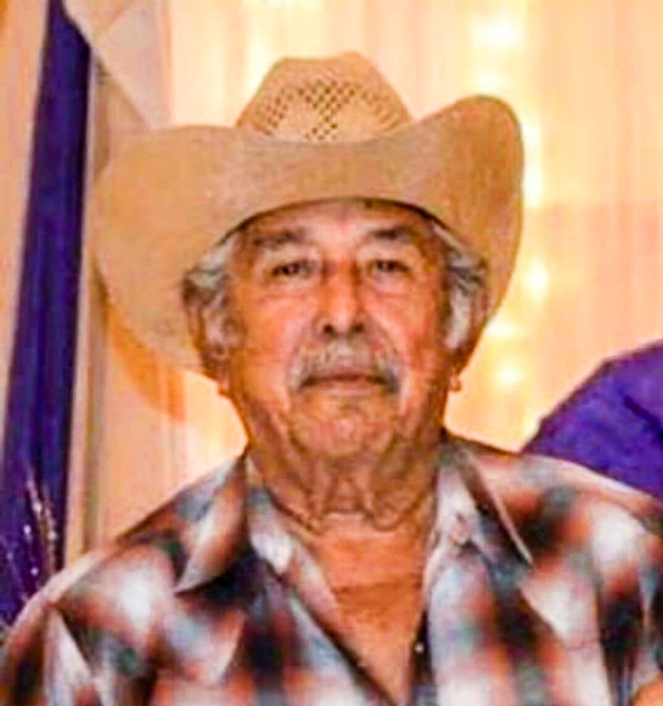 Eloy Flores Araguez Profile Photo