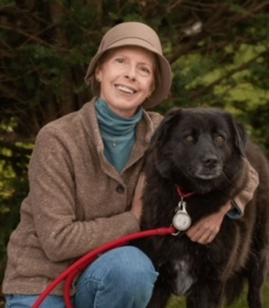 Tracy Novak Profile Photo