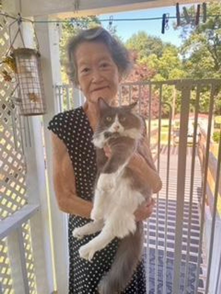 Tomoko Smith Profile Photo