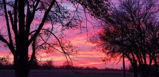 Sheila Raney photo gallery thumbnail 40 of 159
