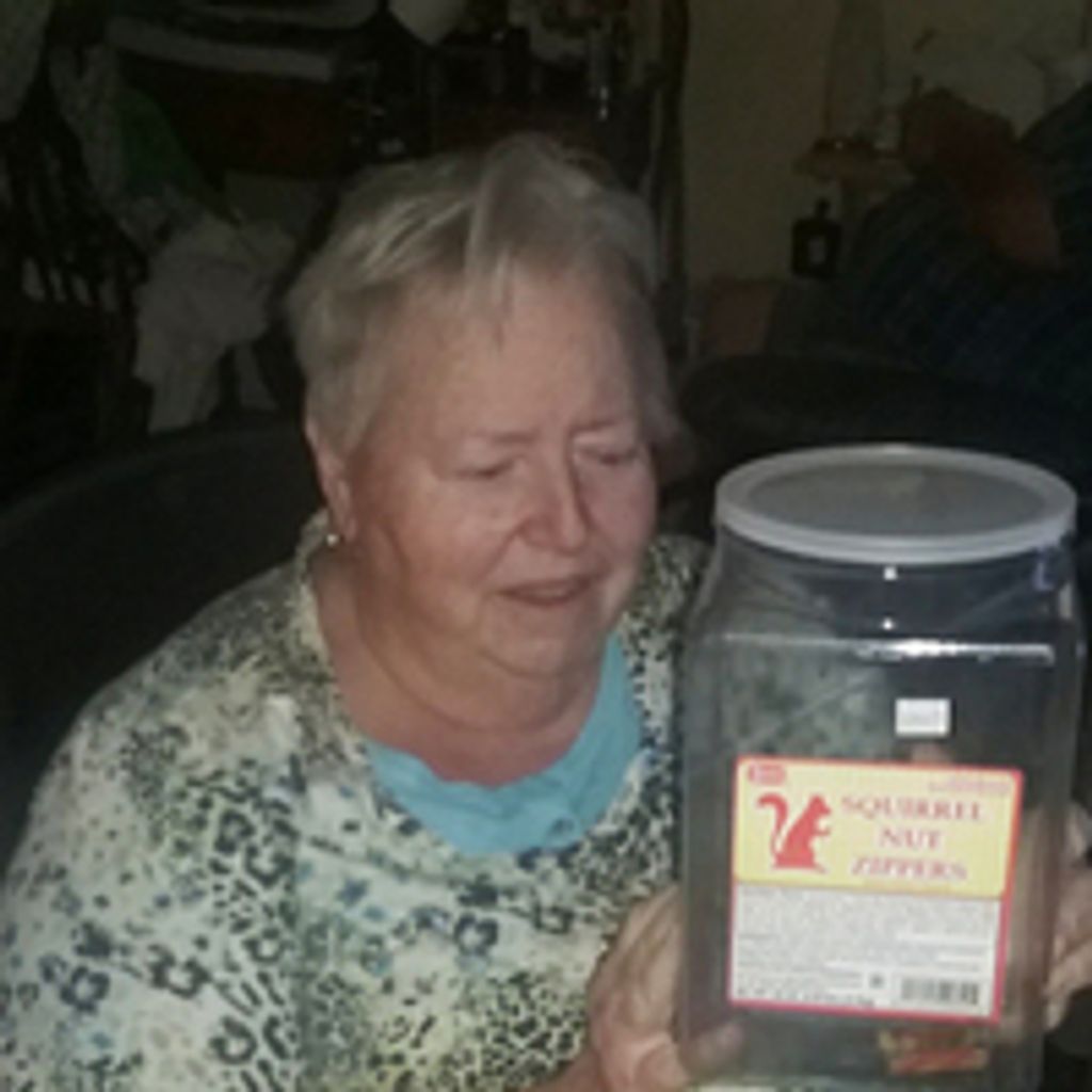 Marilyn Dianne Brinkley Sasser