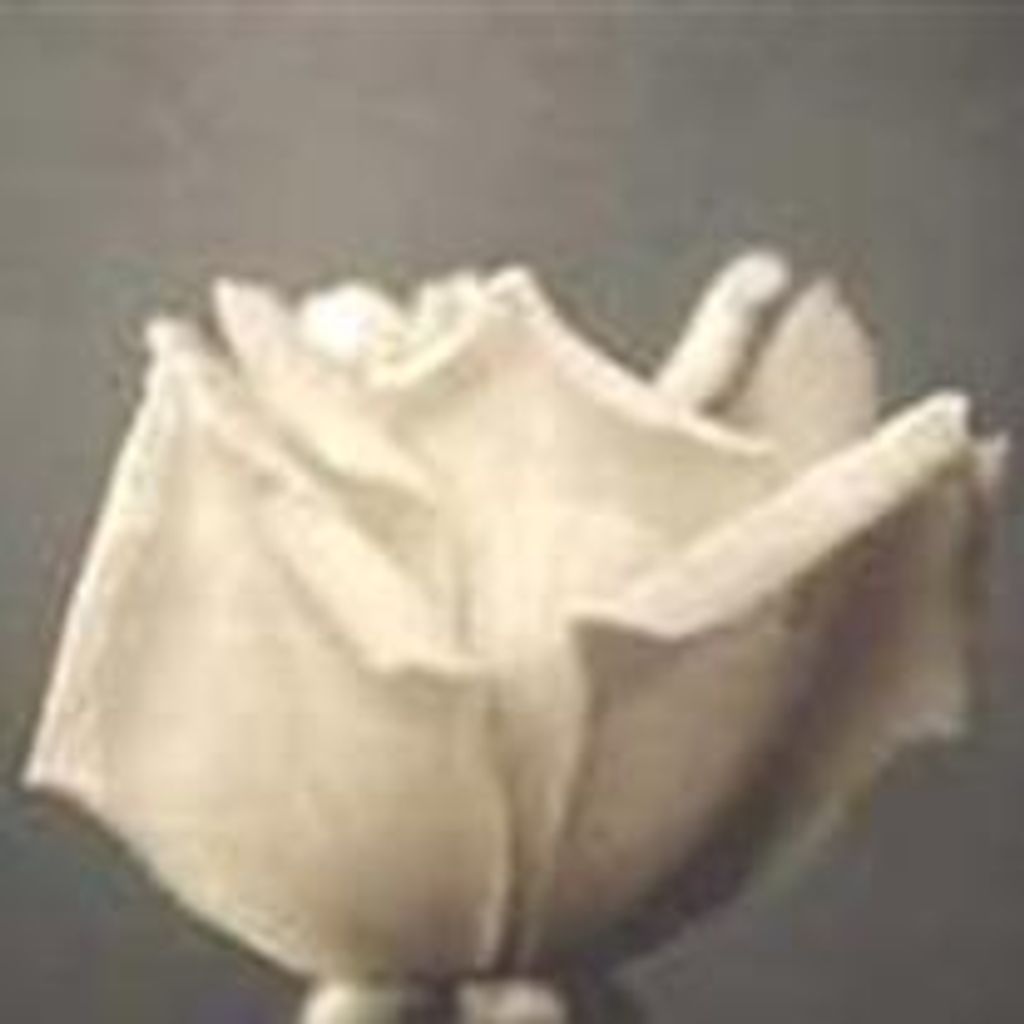 Iris L. Prince