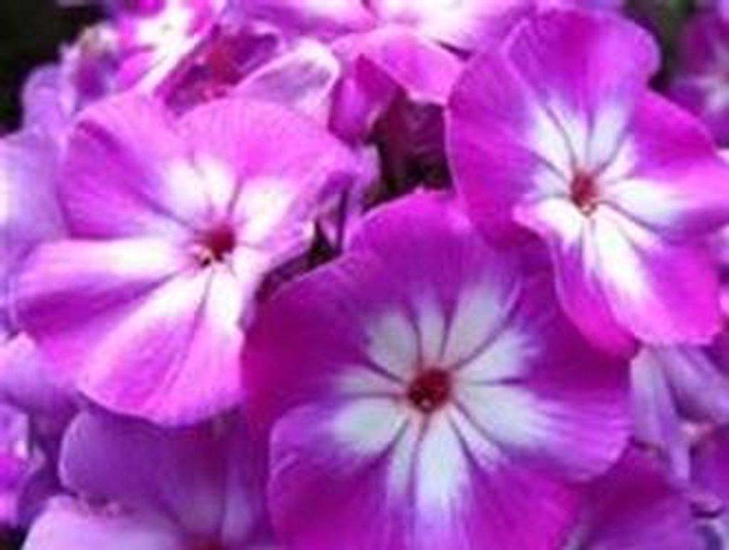 Marilyn Beasley Profile Photo