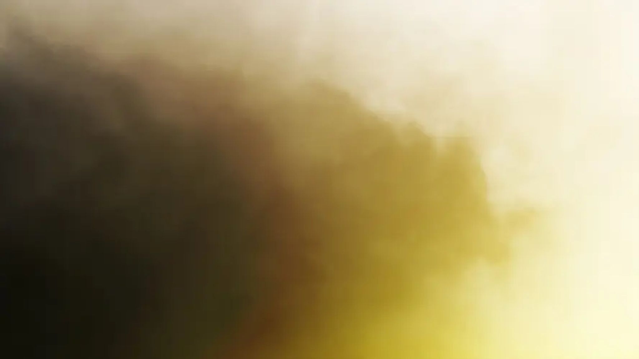 Cover for Lam Do Tran's Obituary