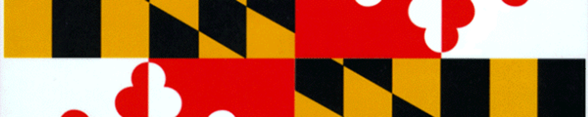 Cover for Oluwatimilehin Olubunmi Makinwa's Obituary