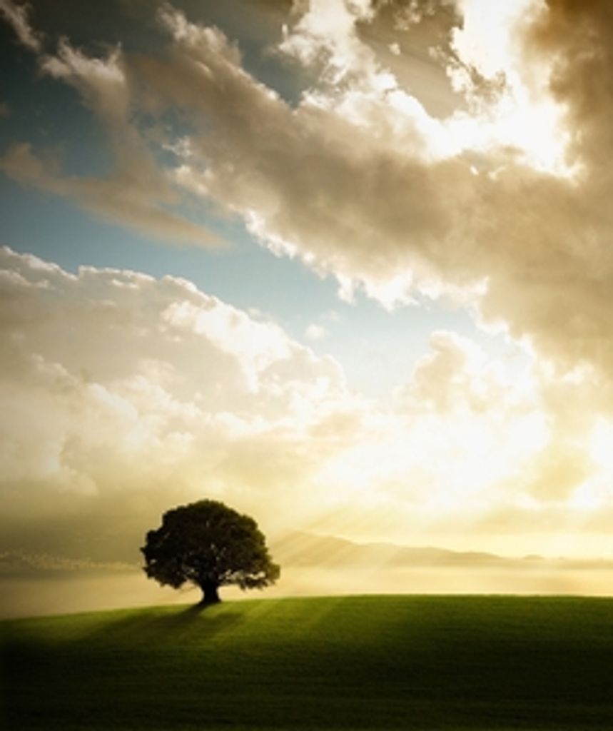 Teddy Charles Rauch, Sr.