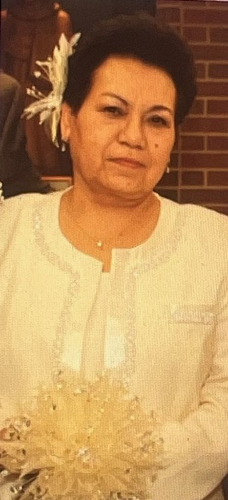 Petra Estrada Profile Photo