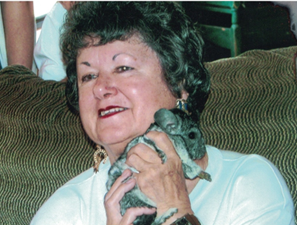Nancy Joan Gibson
