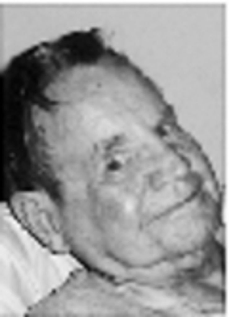 Norman Rich