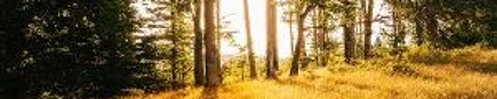 Cover photo for Delmas Wilkins's Obituary