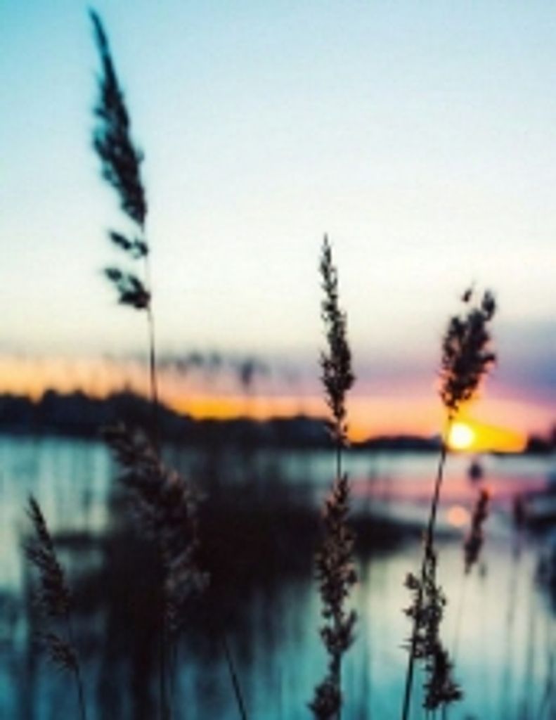 Gerald Hamilton Edwards, Ii