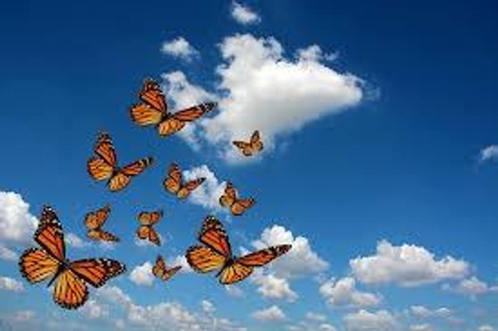 Neoma Walser Profile Photo